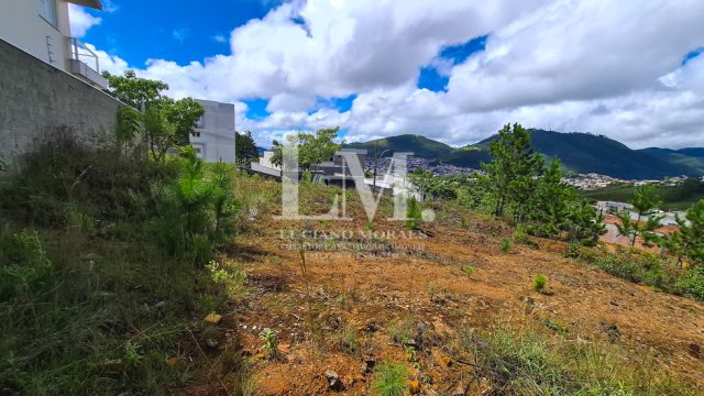 Terreno | Parque San Carlo
