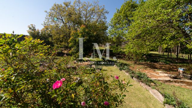 Casa | Monte Alegre