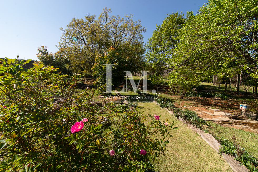 Campo Alegre-18
