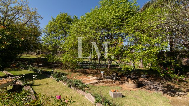 Casa | Monte Alegre
