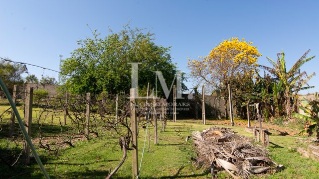Casa | Monte Alegre