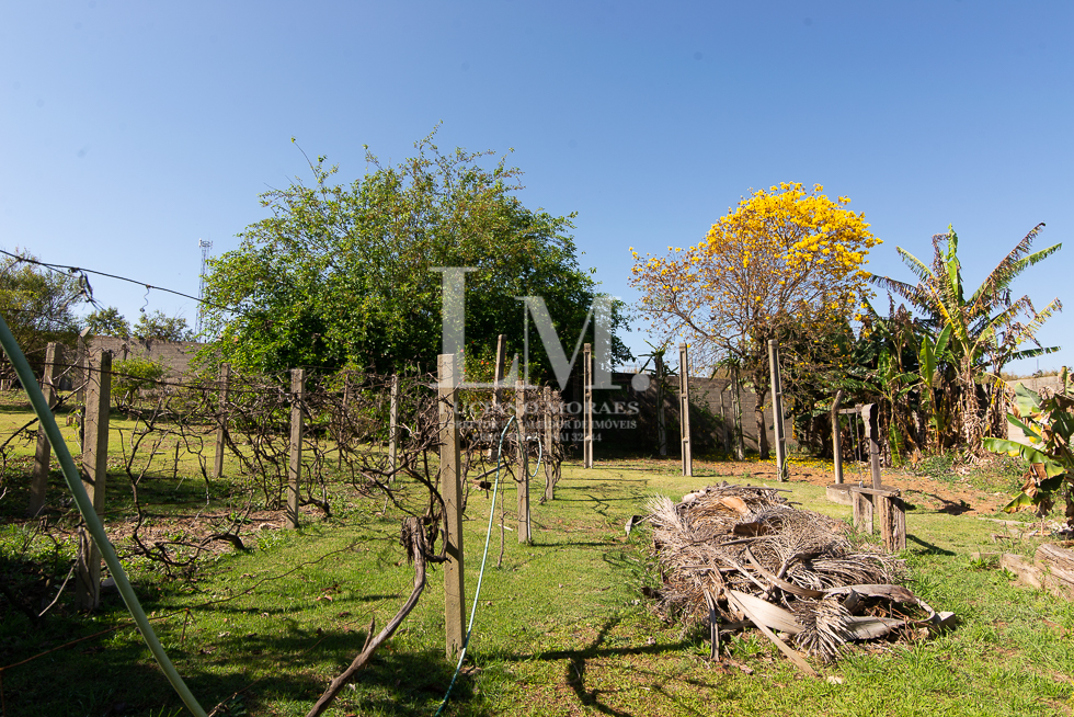 Campo Alegre-20